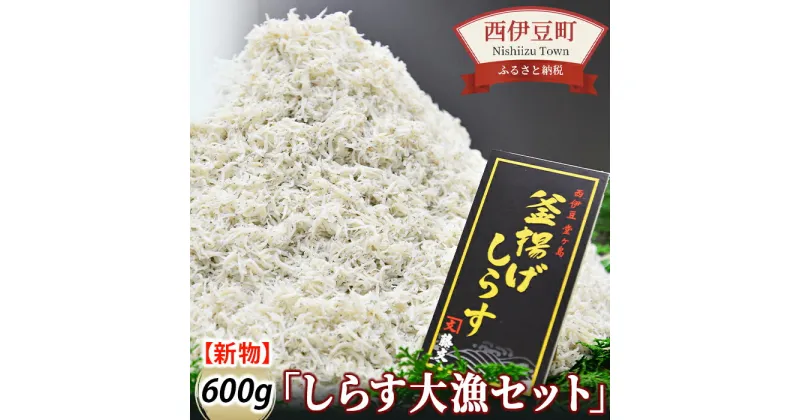 【ふるさと納税】 釜揚げ 大漁 しらす大容量 駿河湾産 ギフト 御中元 御歳暮 伊豆 藤文の「しらす大漁セット」