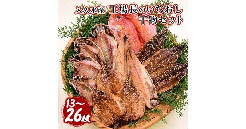 【ふるさと納税】 選べる内容量 ひもの ギフト 御中元 御歳暮 鯵 金目鯛 鯖 秋刀魚 あじ 13枚 26枚 伊豆 静岡 西伊豆 入久水産の「工場長のいちおし干物セット」