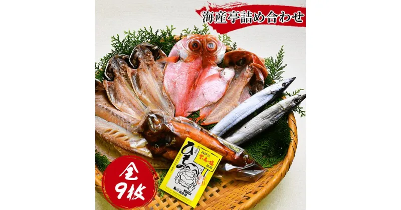 【ふるさと納税】 干物 煮付け 煮魚 金目鯛 鯵 鯖 秋刀魚 無添加 無着色 ギフト 御中元 御歳暮 西伊豆 伊豆 静岡 海産亭 海産屋の「海産亭詰め合わせ」