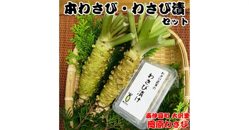 【ふるさと納税】 わさび 本わさび 山葵 わさび漬 刺身 そば わさび丼 薬味 伊豆 西伊豆 【世界農業遺産認定】西伊豆町の本わさび・わさびづけセット