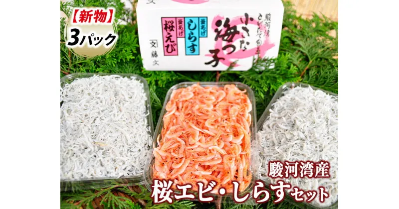 【ふるさと納税】 釜揚げ 駿河湾産 ギフト 御中元 御歳暮 伊豆 静岡 藤文の「桜エビ・しらすセット」