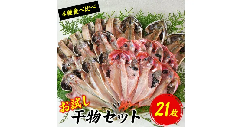 【ふるさと納税】 干物 西伊豆加工 ギフト 御中元 御歳暮 西伊豆 伊豆 静岡 大島水産の「西伊豆加工干物お試しセット」