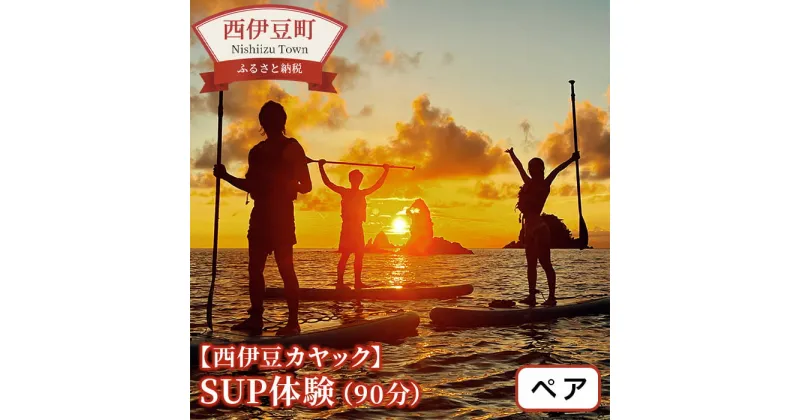 【ふるさと納税】 SUP サップ 海 西伊豆 体験【西伊豆カヤック】SUP体験（1時間半）ペアチケット