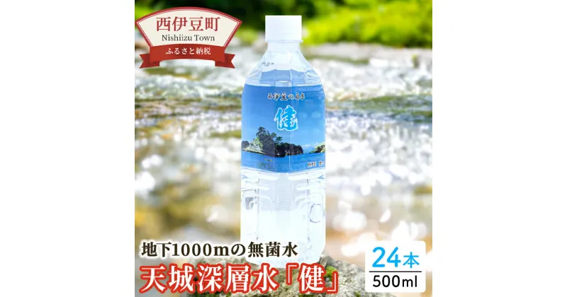 【ふるさと納税】 わさびの駅 大沢里 伊豆 仁科 中硬水 水 ミネラルウオーター 500ml 西伊豆の名水「健」24本セット