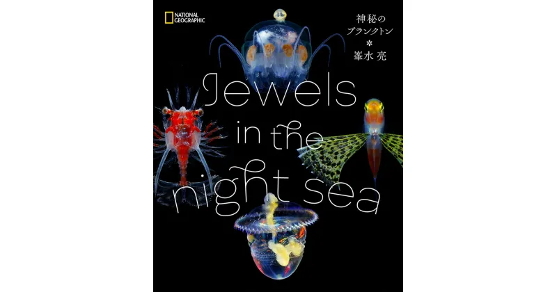 【ふるさと納税】清水町ふるさと大使　海洋生物写真家　峯水亮氏の著書『 Jewels in the night sea　神秘のプランクトン』