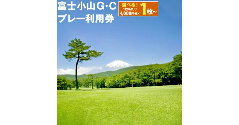 【ふるさと納税】富士小山G・C プレー 利用券 | 4000円分～ 選べる 利用券 チケット 1枚 4000円×1枚～ 5枚 20枚 ゴルフ ゴルフ場 18ホール フラット ゴルフプレー券 ゴルフ利用券 富士山 富士 景観 券 富士小山ゴルフクラブ 静岡県 小山町 送料無料