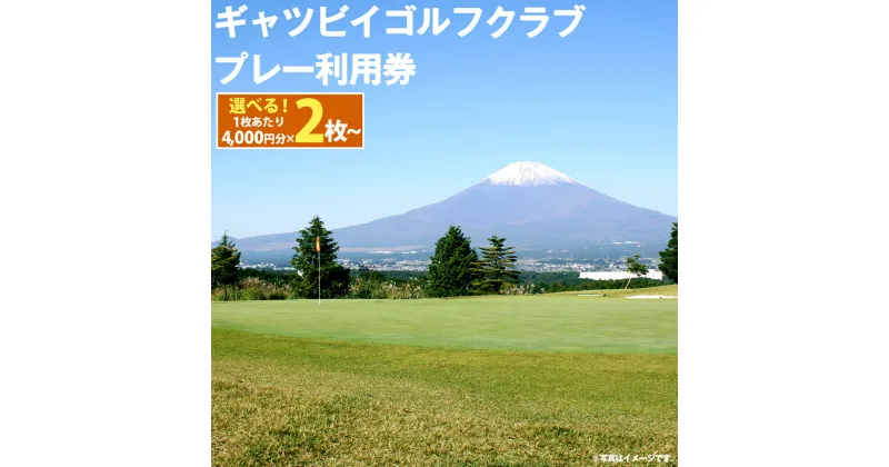 【ふるさと納税】ギャツビイゴルフクラブ プレー利用券 | 計8000円分～ 選べる 利用券 チケット 1枚 4000円×2枚～ 3枚 5枚 ゴルフ ゴルフ場 ゴルフプレー券 ゴルフ利用券 富士山 富士 景観 券 静岡県 小山町 送料無料