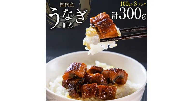 【ふるさと納税】うなぎ 佃煮 国産 静岡 100g ×3パック 計300g [静岡鰻販売 静岡県 吉田町 22424152] 鰻 ウナギ 真空パック つまみ 酒の肴 惣菜 おかず ご飯のお供 国内産 冷凍