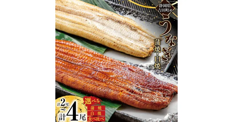 【ふるさと納税】選べる うなぎ 国産 静岡 肉厚 蒲焼 白焼 2尾〜4尾 タレ・山椒付 [大井川うなぎ 静岡県 吉田町 1364131] 鰻 ウナギ 真空パック 化粧箱 蒲焼き 白焼き 食べ比べ 静岡県吉田町産