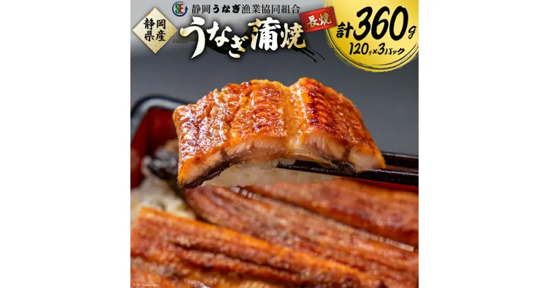 【ふるさと納税】 うなぎ 国産 静岡 蒲焼 長焼 120g×3 計360g [静岡うなぎ漁業協同組合 静岡県 吉田町 22424073] 静岡県産 鰻 ウナギ 蒲焼き 真空パック 冷凍