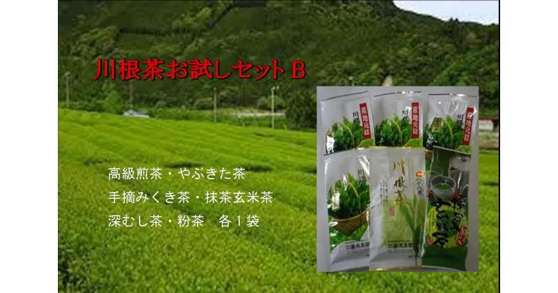 【ふるさと納税】お茶 静岡 緑茶 / 川根茶お試しセットB