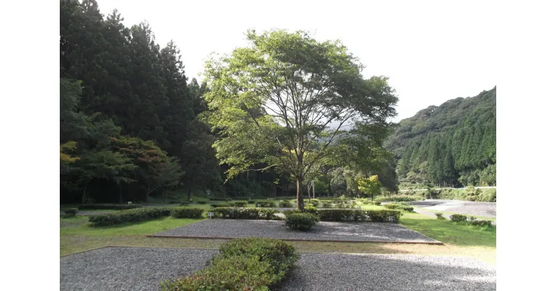 【ふるさと納税】キャンプ 宿泊 チケット 静岡 川根本町 / 三ツ星オートキャンプ場宿泊券