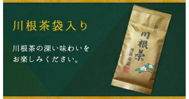 【ふるさと納税】お茶 茶葉 静岡茶 川根茶/ 大はしり100g袋3本詰合せ（ギフト包装）