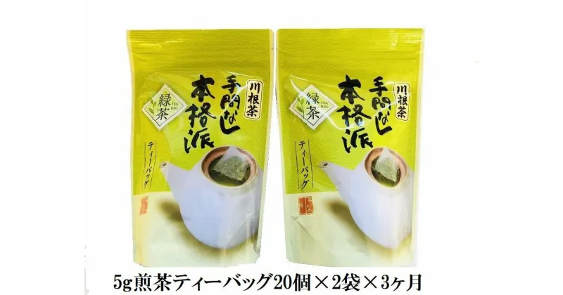 【ふるさと納税】定期便 お茶 静岡 ティーバッグ 20個入×2袋×3ヶ月連続 / 本格茶葉の手間なしティーバッグ120個