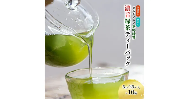 【ふるさと納税】濃旨緑茶ティーバック5g×25ケ入×10袋　飲料類・お茶・セット・詰め合わせ・深蒸し茶