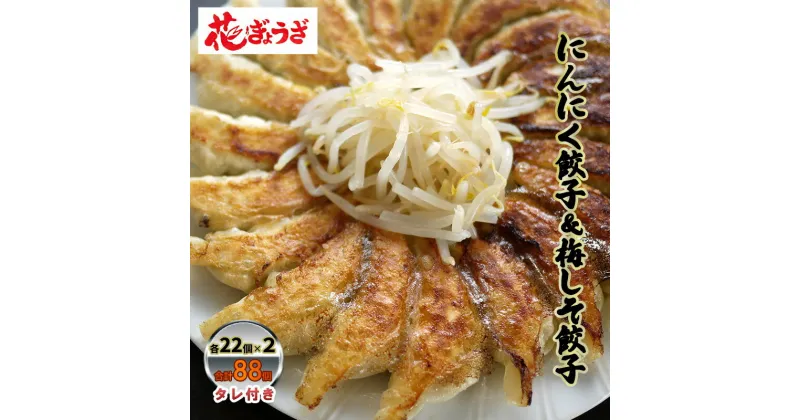 【ふるさと納税】にんにく餃子(22個入り×2袋)と梅しそ餃子(22個入り×2袋)のセット　 惣菜 冷凍餃子 中華 夕飯 夜ごはん おかず 食べ比べ おつまみ ビールのおつまみ