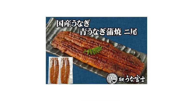 【ふるさと納税】炭焼うな富士　国産特大うなぎ長焼二尾入り | 愛知県 名古屋市 愛知 名古屋 楽天ふるさと 納税 支援品 返礼品 支援 返礼 お礼の品 お取り寄せグルメ 取り寄せ グルメ お取り寄せ うなぎ 国産 鰻 ウナギ 国産鰻 国産うなぎ 魚介 魚介類 食品 美味しい