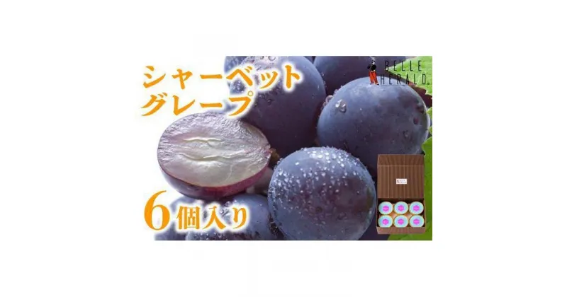 【ふるさと納税】【すっきりした甘さ】ベルヘラルドシャーベットグレープ 6個入 なめらか食感 スイーツ | 愛知県 名古屋市 愛知 名古屋 楽天ふるさと お取り寄せグルメ 取り寄せ グルメ お取り寄せ お取り寄せスイーツ スィーツ スウィーツ