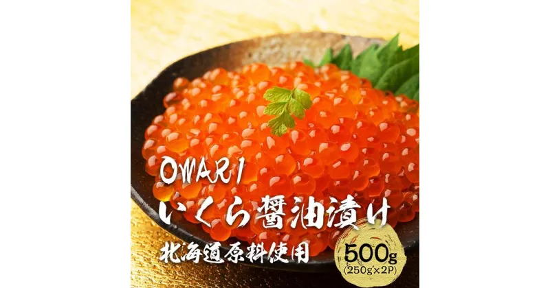 【ふるさと納税】いくら 醤油漬け 500g(250g×2パック) 北海道 秋鮭卵 冷凍 OWARI