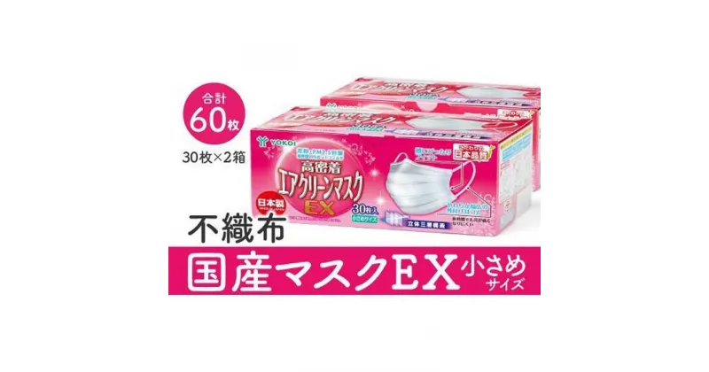 【ふるさと納税】マスク　国産不織布マスク（小さめ）　30枚入×2箱 (サージカルマスク)