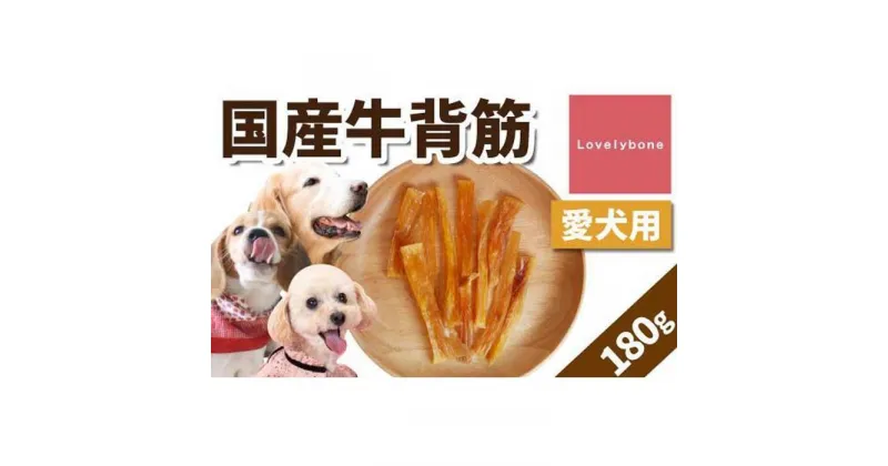 【ふるさと納税】精肉店がこだわった【大中小型犬向けおやつ】国産牛背筋　60g×3　無添加 手作り