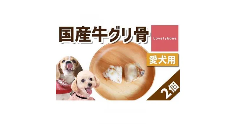 【ふるさと納税】精肉店がこだわった【中小型犬向けおやつ】国産牛グリ骨　2個