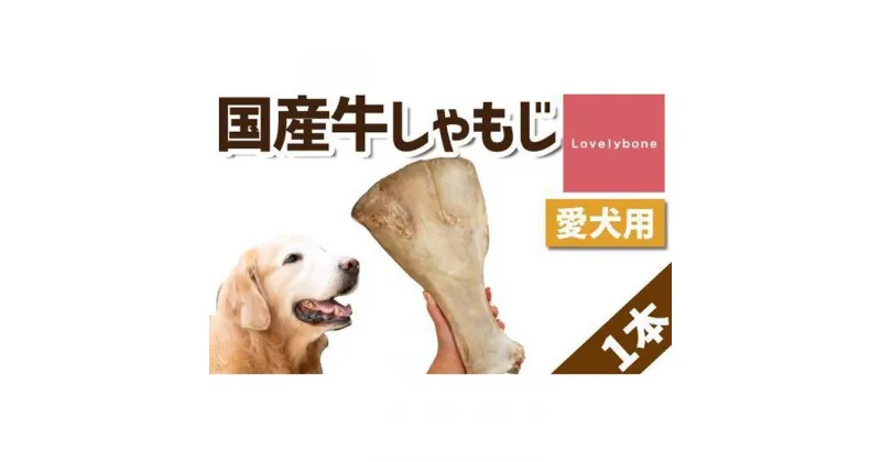 【ふるさと納税】【大型犬向け】国産牛しゃもじ