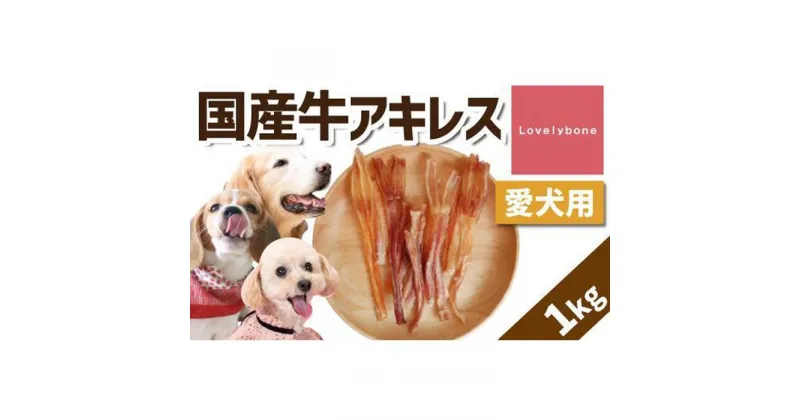 【ふるさと納税】【大中小型犬向け】国産牛アキレス 1kg(500g×2) 無添加 手作り