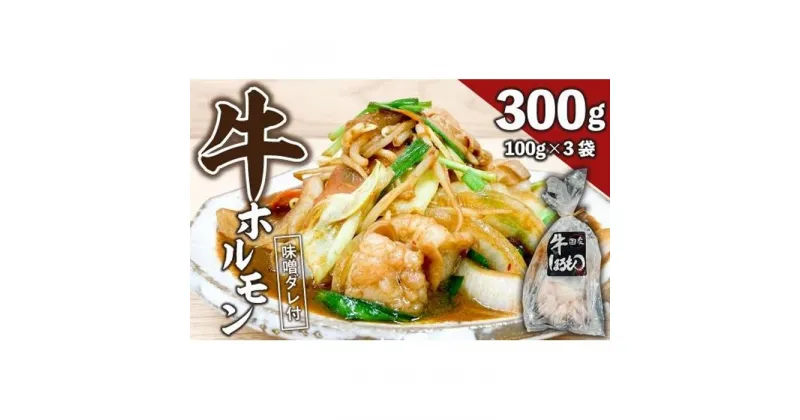 【ふるさと納税】【ビールがすすむ】牛ホルモン（味噌だれ）3パック お肉の旨み弾力 おつまみ