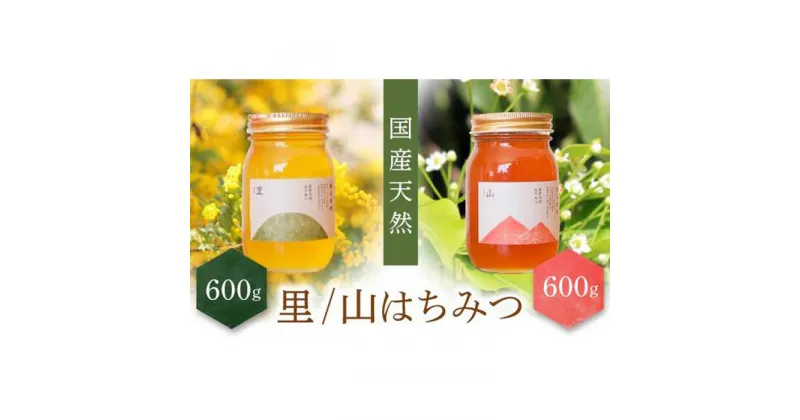 【ふるさと納税】養蜂研究所が提供する「(井上養蜂) 国産 山のはちみつ 里のはちみつ定番セット」まろやか濃厚蜂蜜