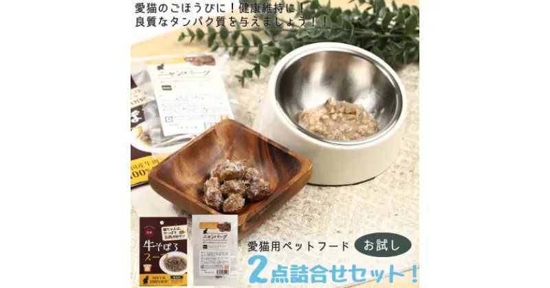 【ふるさと納税】愛猫のごほうびに！　猫用ペットフード　お徳用セット！2点詰め合わせセット