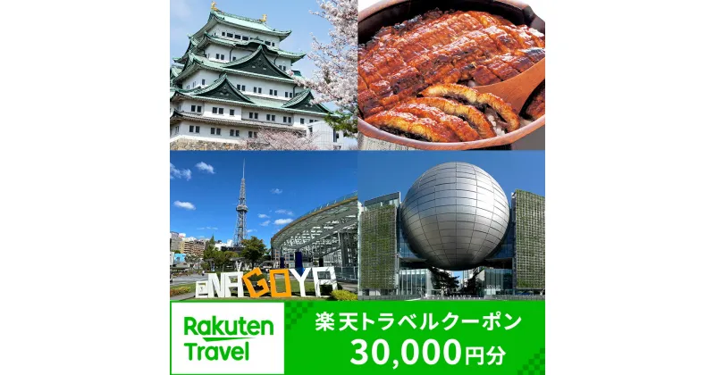 【ふるさと納税】愛知県名古屋市の対象施設で使える楽天トラベルクーポン 寄付額100,000円