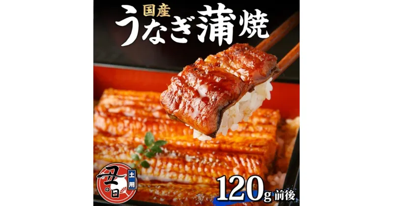 【ふるさと納税】名古屋 うなぎのしら河 国産 鰻 蒲焼き 120g前後×1尾 タレ 山椒付 うなぎ ウナギ かばやき 鰻丼 うな重 鰻重 お中元 お歳暮 ギフト 送料無料 愛知県 名古屋市