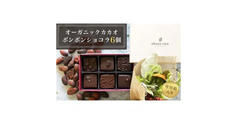 【ふるさと納税】こだわり素材のボンボンショコラ6個セット　chocorico