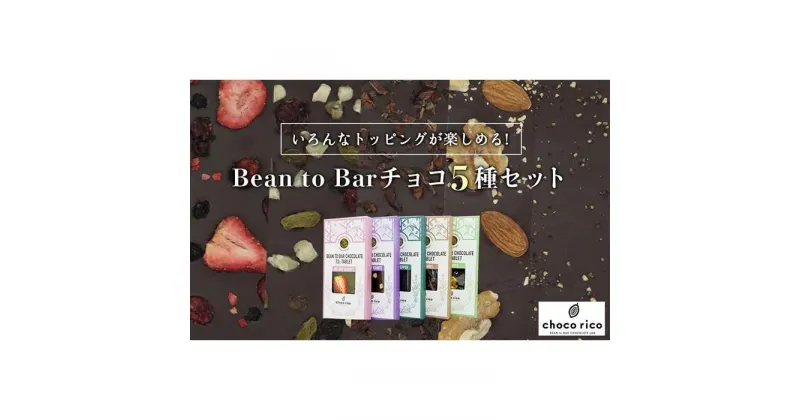 【ふるさと納税】Bean to Barチョコ（タブレット）5種セット　chocorico