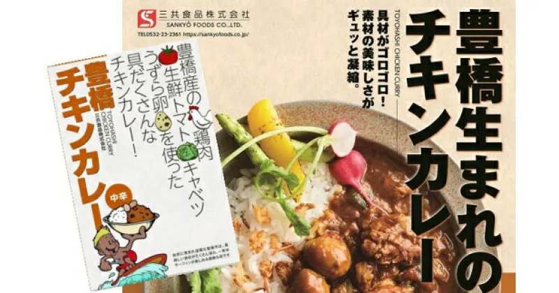 【ふるさと納税】豊橋産の食材を詰め込んだ『豊橋チキンカレー』（10個セット） カレー レトルト 常温 2万円 カレーライス