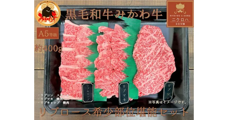 【ふるさと納税】黒毛和牛 みかわ牛 A5等級 希少部位堪能セット (ステーキ / 焼肉 ) リブロース（約450g）食べ比べ 牛肉 肉 焼き肉 焼肉セット 愛知県 豊橋市