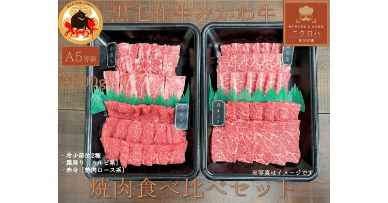 【ふるさと納税】黒毛和牛みかわ牛A5等級 食べ比べ焼肉セット たっぷり 1kg（希少部位2種：霜降り、赤身） 牛肉 肉 焼き肉 焼肉 愛知県 豊橋市