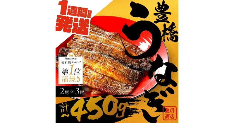 【ふるさと納税】すぐお届け 定期便も選べる 国産 豊橋うなぎ 蒲焼 2尾 3尾 ~450g 夏目商店 蒲焼 国産 国産うなぎ 蒲焼 長焼 ウナギ 鰻 長蒲焼 ひつまぶし 先行予約 発送時期が選べる うなぎ 冷凍 丑の日 惣菜 unagi ランキング 1位 期間限定 高級 愛知 三河 長蒲焼 送料無料