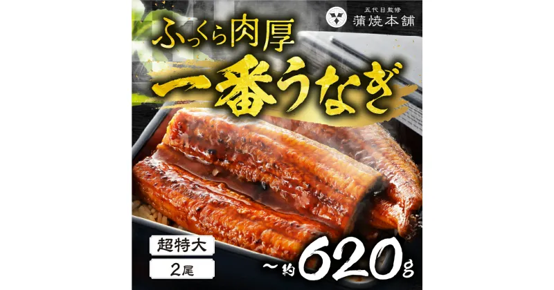 【ふるさと納税】ふっくら肉厚！一番うなぎ 超特大 2尾 鰻 国産 タレ付 セット 厳選 超絶うなぎ ウナギ 蒲焼 丑の日 高級 贅沢 ご褒美 お取り寄せ うな重 うな丼 ひつまぶし 冷凍 お祝い お歳暮 愛知県 豊橋市 29000円