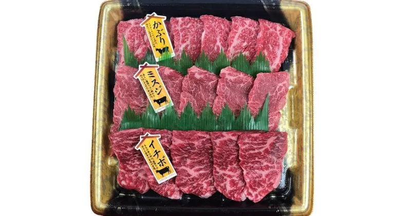 【ふるさと納税】 希少な『穂の国姫牛』豊橋の旨い 希少部位 3種 焼肉セット（450g） 焼き肉 牛肉 肉 赤身 霜降り 食べ比べ 焼肉セット