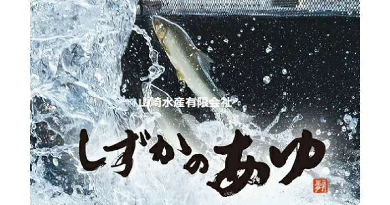 【ふるさと納税】こだわり生育 しずかのあゆ 冷凍 10尾セット 鮎 アユ 冷凍 魚 魚介 川魚 塩焼き 甘露煮 生あゆ 子持ち鮎