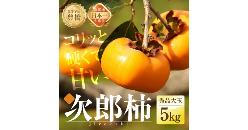 【ふるさと納税】≪先行予約≫ 生産量日本一 石巻産 次郎柿 5kg（秀品 大玉）（15〜20玉）　 甘柿 果物 フルーツ 10月 11月 愛知県 豊橋市