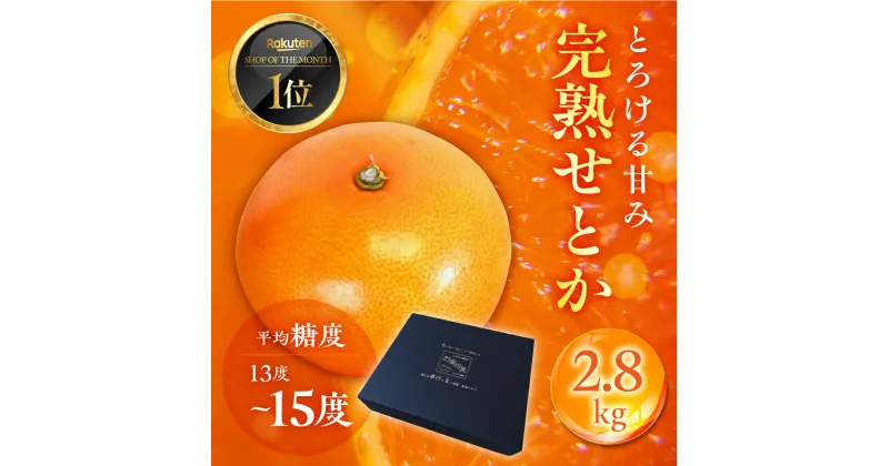 【ふるさと納税】【先行予約】 大トロみかん『木熟せとか』黒の化粧箱（大）　厳選プレミアム　2.8kg