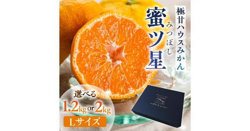 【ふるさと納税】≪先行予約≫ 超濃厚ハウスみかん『蜜ツ星』 秀品 選べる 1.2kg / 2kg (Lサイズ10玉 〜18玉) みかん 高級 高糖度 ギフト 贅沢 蜜柑 ミカン 柑橘 フルーツ 数量限定 季節限定 濃厚 化粧箱入り Lサイズ 詰め合わせ 豊橋