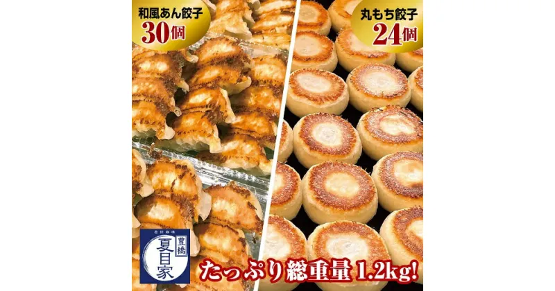 【ふるさと納税】夏目家 餃子 2種食べ比べ 54個 和風あん餃子 30個 丸もち餃子 24個 中華 惣菜 簡単調理 お楽しみ 豊橋市 送料無料