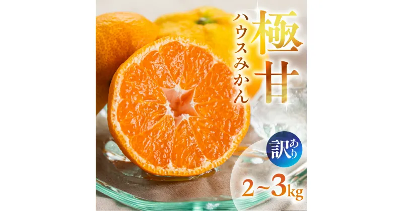 【ふるさと納税】≪先行予約≫ 超濃厚 ハウスみかん『蜜ツ星』 家庭用 2kg ~ 3kg 選べる みかん 高級 高糖度 自家用 贅沢 蜜柑 ミカン 果物 柑橘 フルーツ 季節限定 濃厚 サイズ バラ おまかせ 訳あり 詰め合わせ あとから選べる 内容量 秀品 優品 混合品 豊橋 12000円