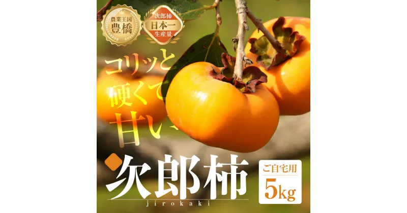 【ふるさと納税】先行予約 生産量日本一 豊橋石巻産 次郎柿 ご自宅用 5kg 柿 訳あり 不揃い (15〜25個) 甘柿 果物 フルーツ 10月 11月 愛知県 豊橋市