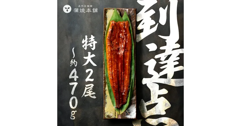 【ふるさと納税】 国産うなぎ 蒲焼 特大 2尾 鰻 国産 タレ付 セット 厳選 超絶うなぎ ウナギ 蒲焼 かば焼き 丑の日 高級 贅沢 ご褒美 特産品 大きい ふっくら お取り寄せ うな重 うな丼 ひつまぶし 冷凍 誕生日 お祝い 内祝い お中元 お歳暮 愛知県 豊橋市 25000円 2万5千円