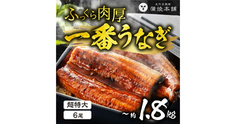 【ふるさと納税】 ふっくら肉厚！一番うなぎ 超特大 6尾 鰻 国産 タレ付 セット 厳選 超絶うなぎ ウナギ 蒲焼 かば焼き 丑の日 高級 贅沢 特産品 ふっくら お取り寄せ うな重 うな丼 ひつまぶし 冷凍 内祝い お中元 お歳暮 愛知県 豊橋 81000円